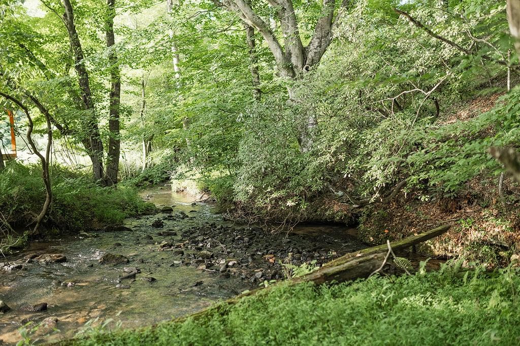 328 Black Ankle Creek Road, Cherry Log GA 30522 - Photo