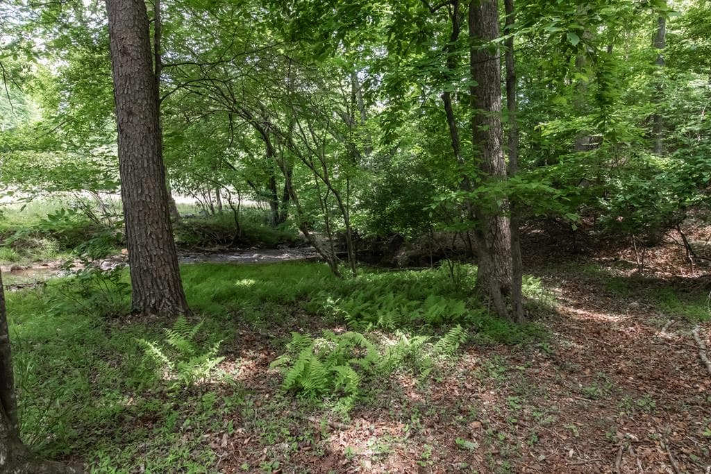 328 Black Ankle Creek Road, Cherry Log GA 30522 - Photo