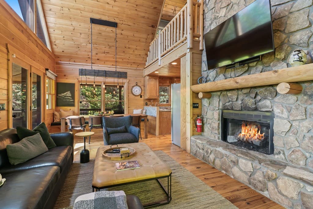 229 Old Mill Pond Road, Mineral Bluff GA 30559 - Photo