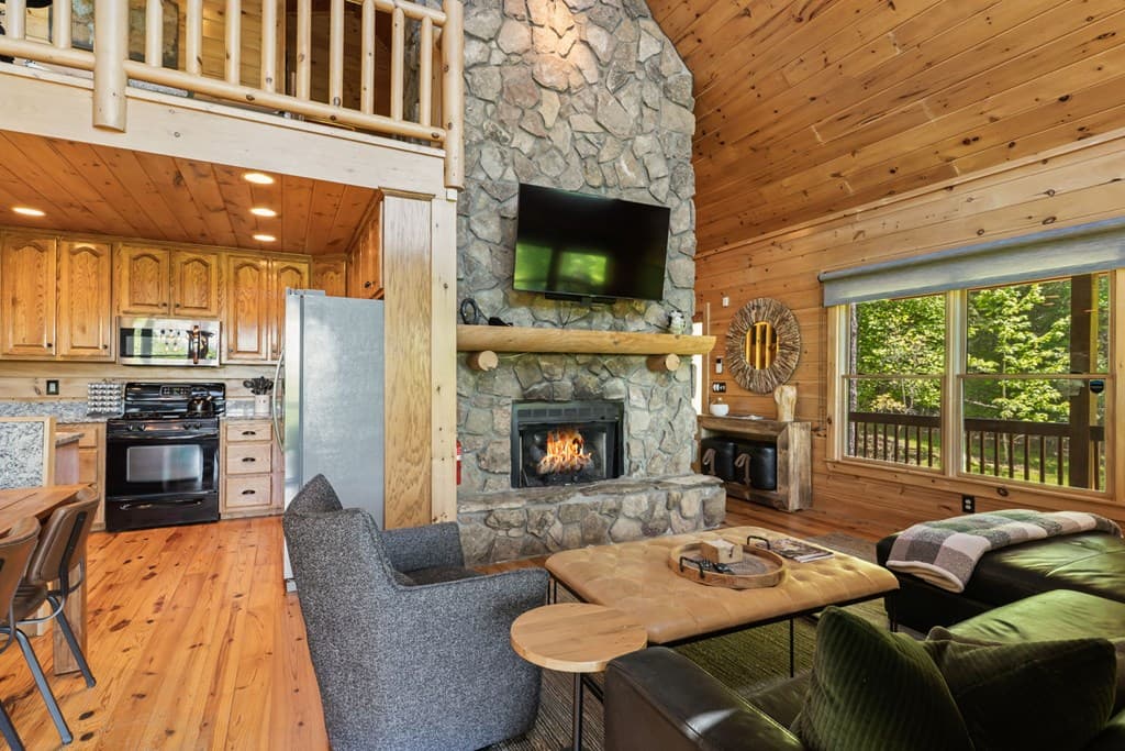 229 Old Mill Pond Road, Mineral Bluff GA 30559 - Photo