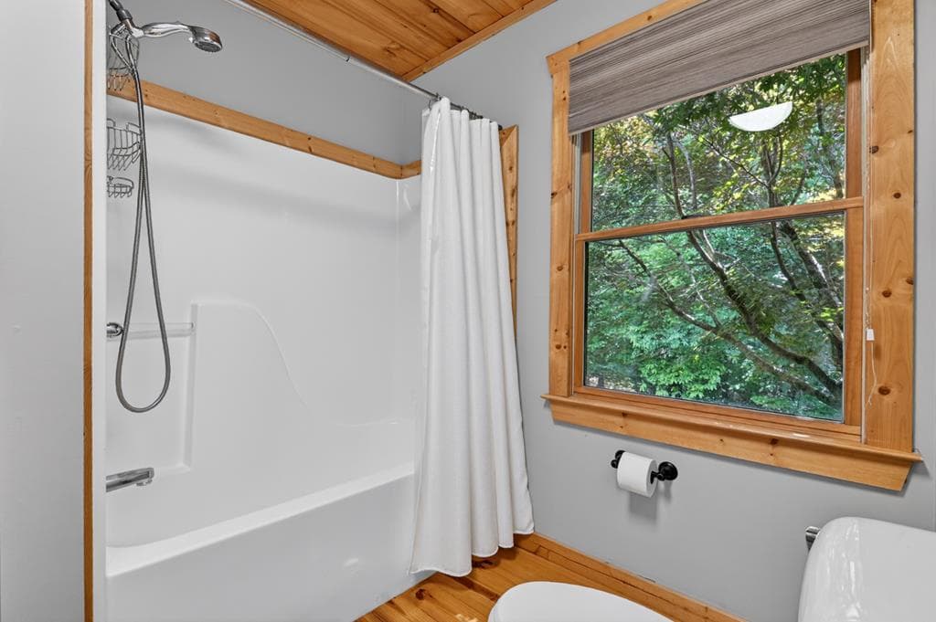 141 Gallery Court, Ellijay GA 30540 - Photo