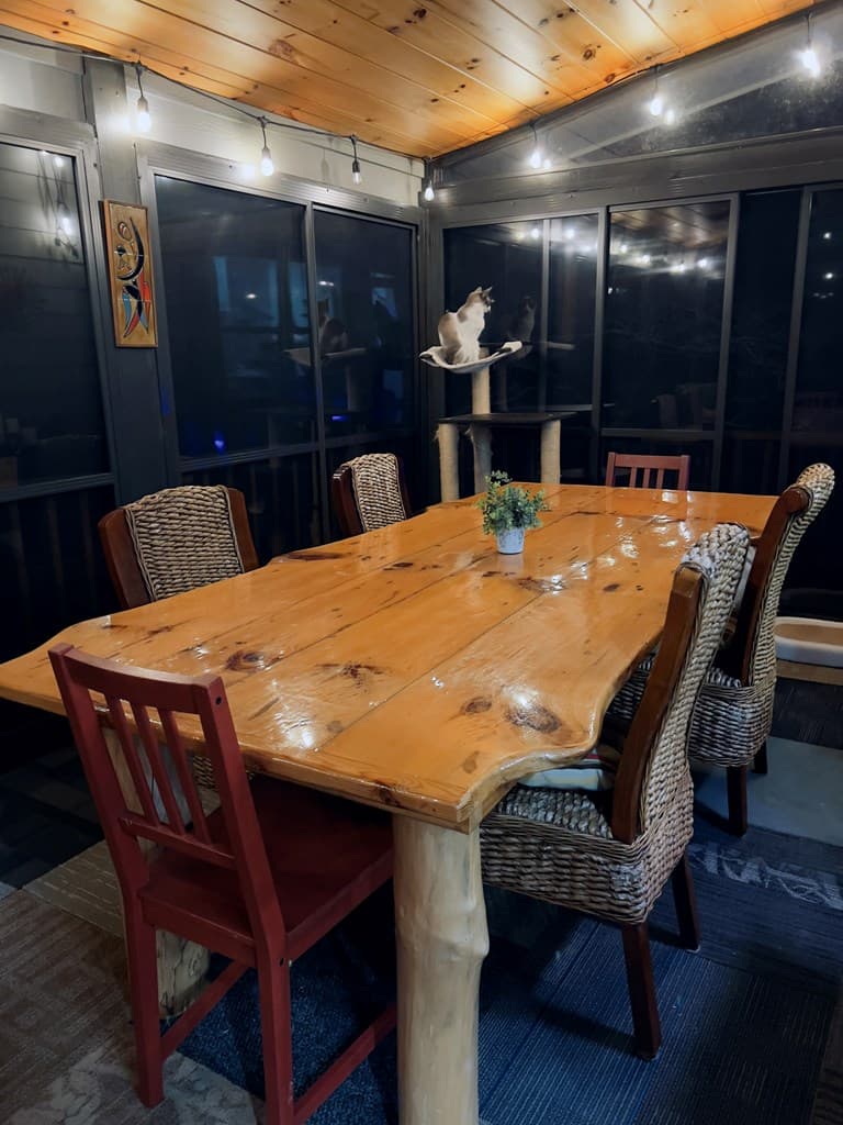 67 High Point Trail, Blue Ridge GA 30513 - Photo