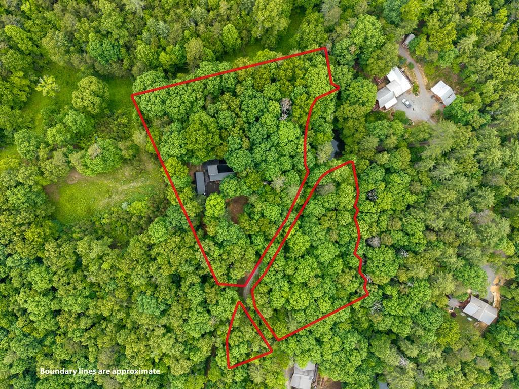114 Arapaho Walk, Mineral Bluff GA 30559 - Photo