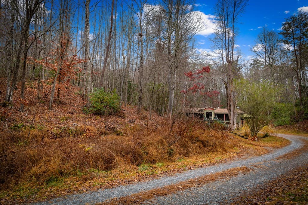 208 Bullen Gap Road, Blue Ridge GA 30513 - Photo