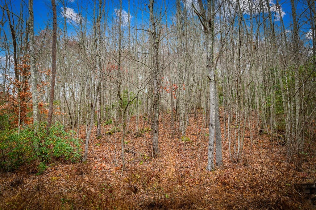 208 Bullen Gap Road, Blue Ridge GA 30513 - Photo