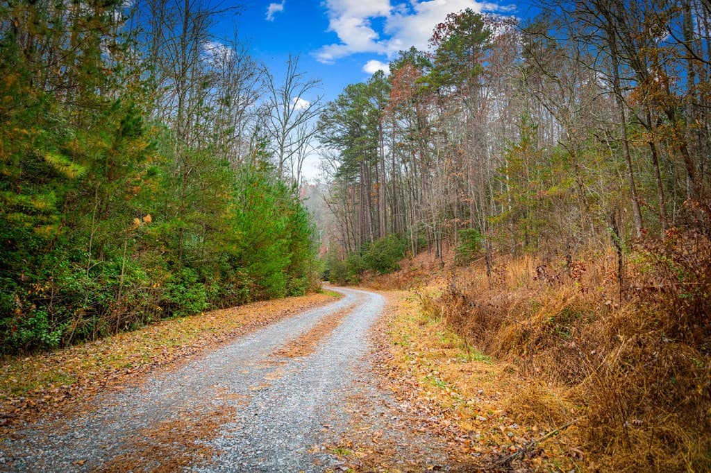 208 Bullen Gap Road, Blue Ridge GA 30513 - Photo
