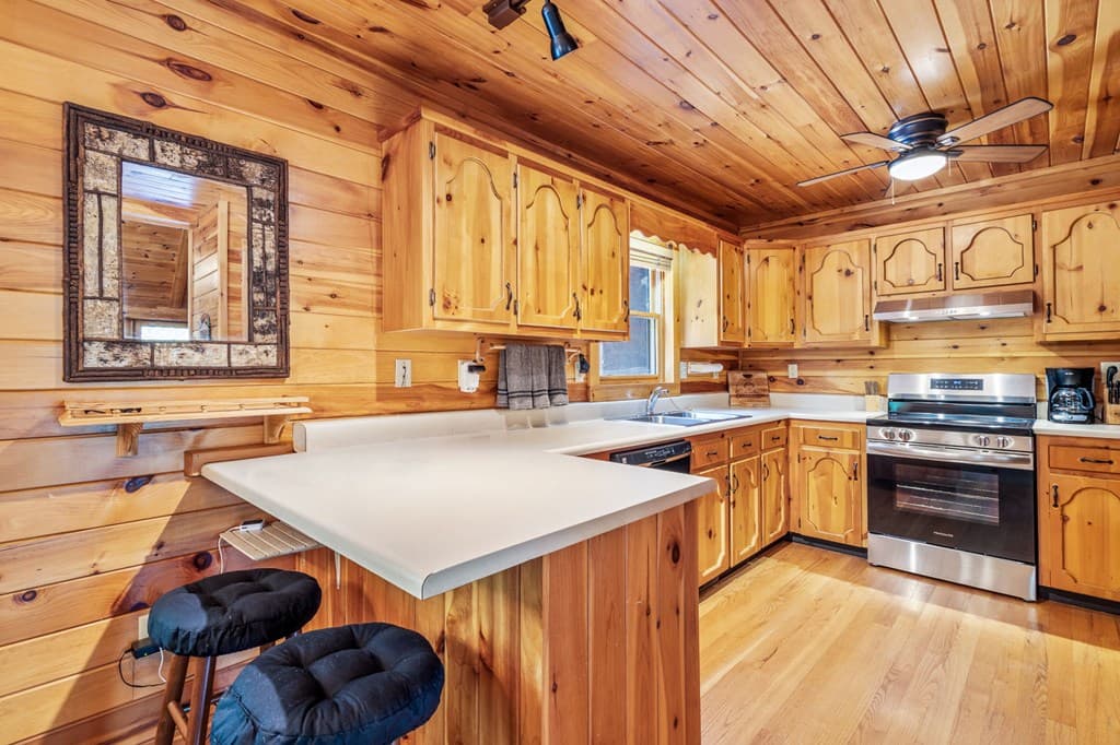 220 Blue Ridge Trails, Morganton GA 30560 - Photo
