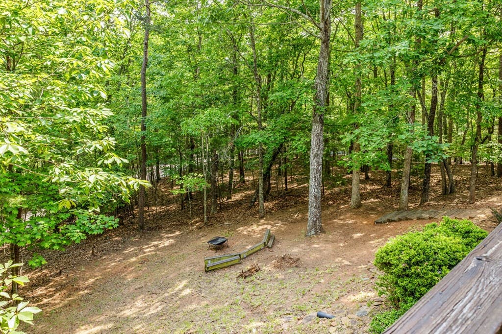 220 Blue Ridge Trails, Morganton GA 30560 - Photo