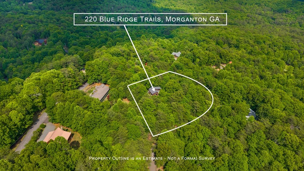 220 Blue Ridge Trails, Morganton GA 30560 - Photo