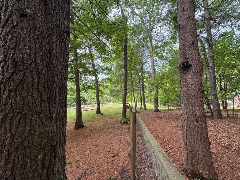 28 Rothgeb Ridge Road, Blairsville GA 30512 - Photo