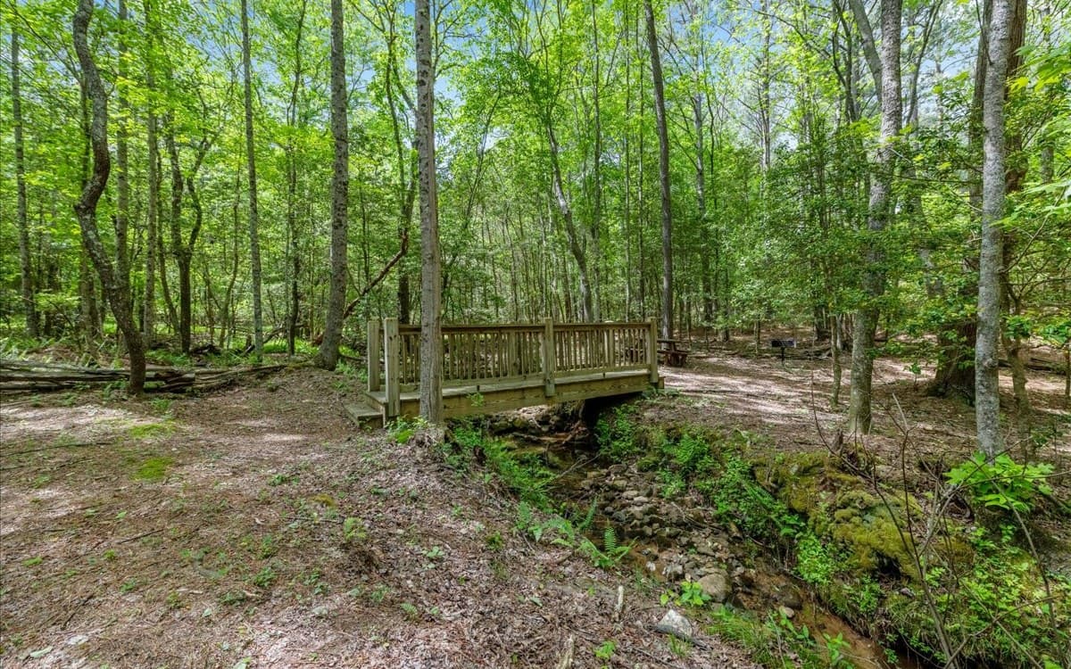 LT158 Stables Loop, Blairsville GA 30512 - Photo