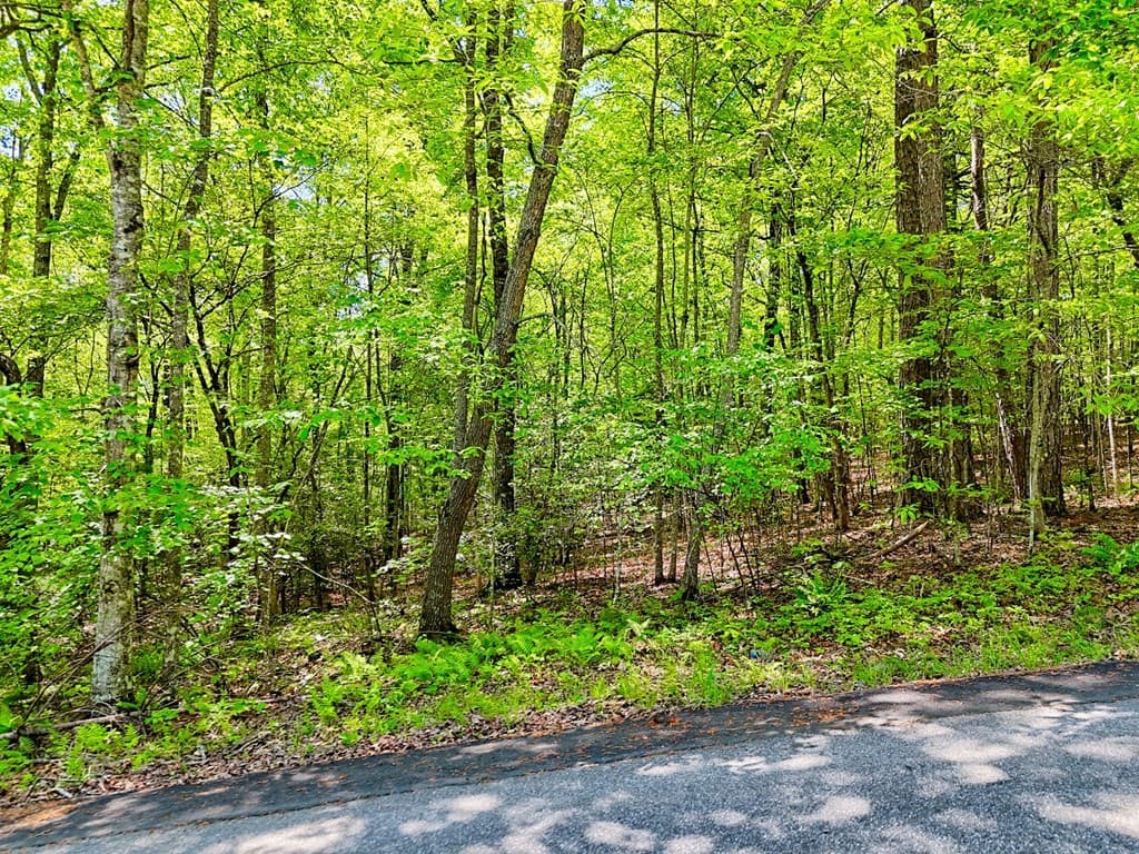Lots 3&5 Cozy Cove Road, Blairsville GA 30512 - Photo