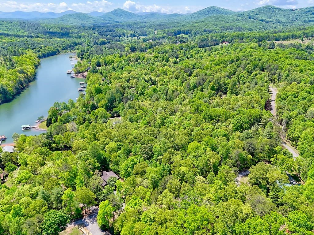 Lots 3&5 Cozy Cove Road, Blairsville GA 30512 - Photo