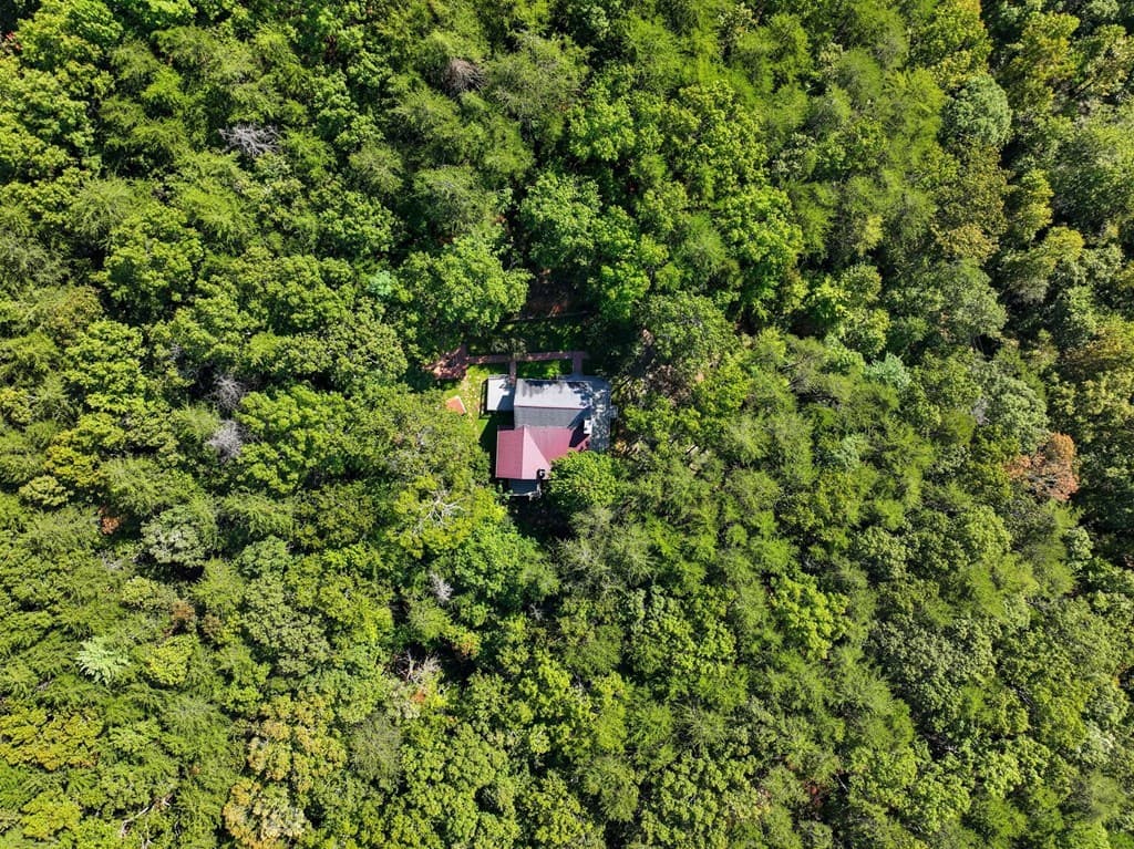 55 Tickanetley Lane, Ellijay GA 30536 - Photo