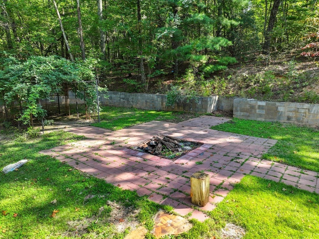 55 Tickanetley Lane, Ellijay GA 30536 - Photo