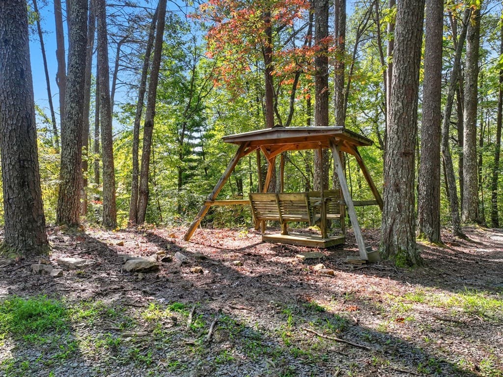 55 Tickanetley Lane, Ellijay GA 30536 - Photo