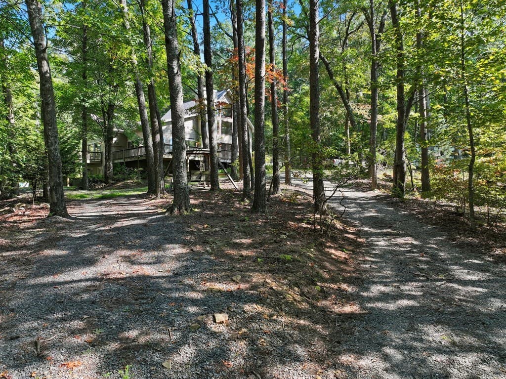 55 Tickanetley Lane, Ellijay GA 30536 - Photo