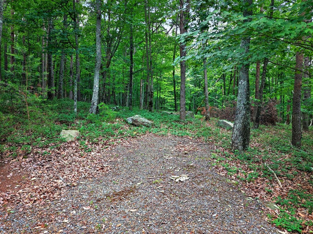 0 Ridgeside Court, Jasper GA 30143 - Photo