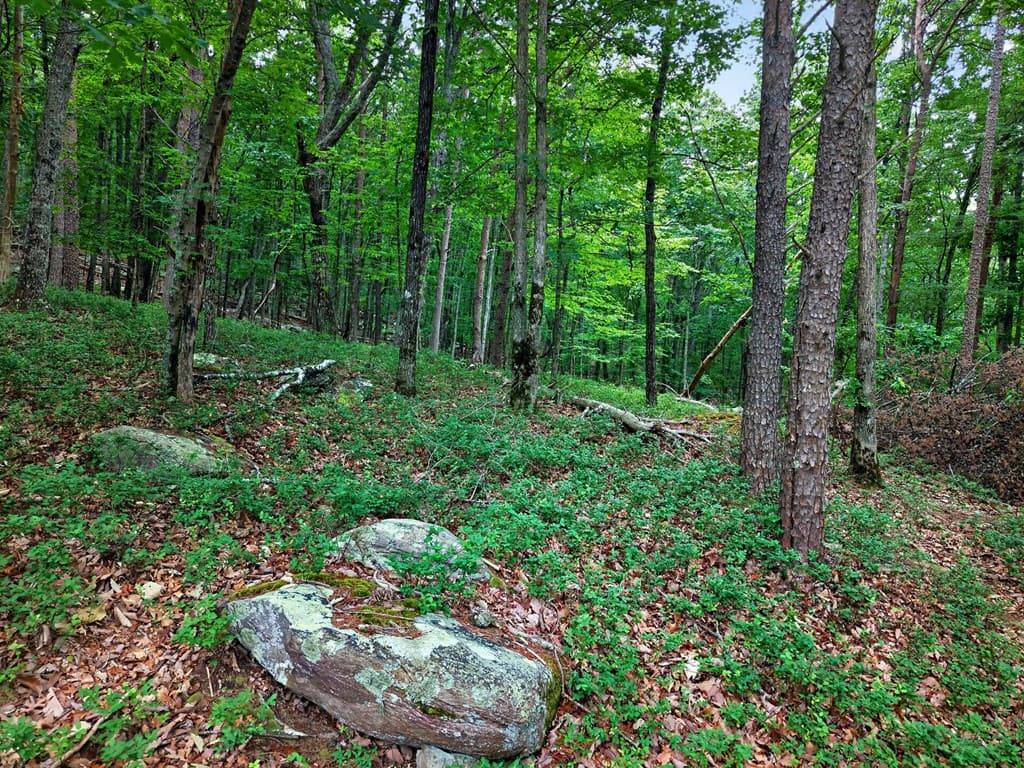 0 Ridgeside Court, Jasper GA 30143 - Photo