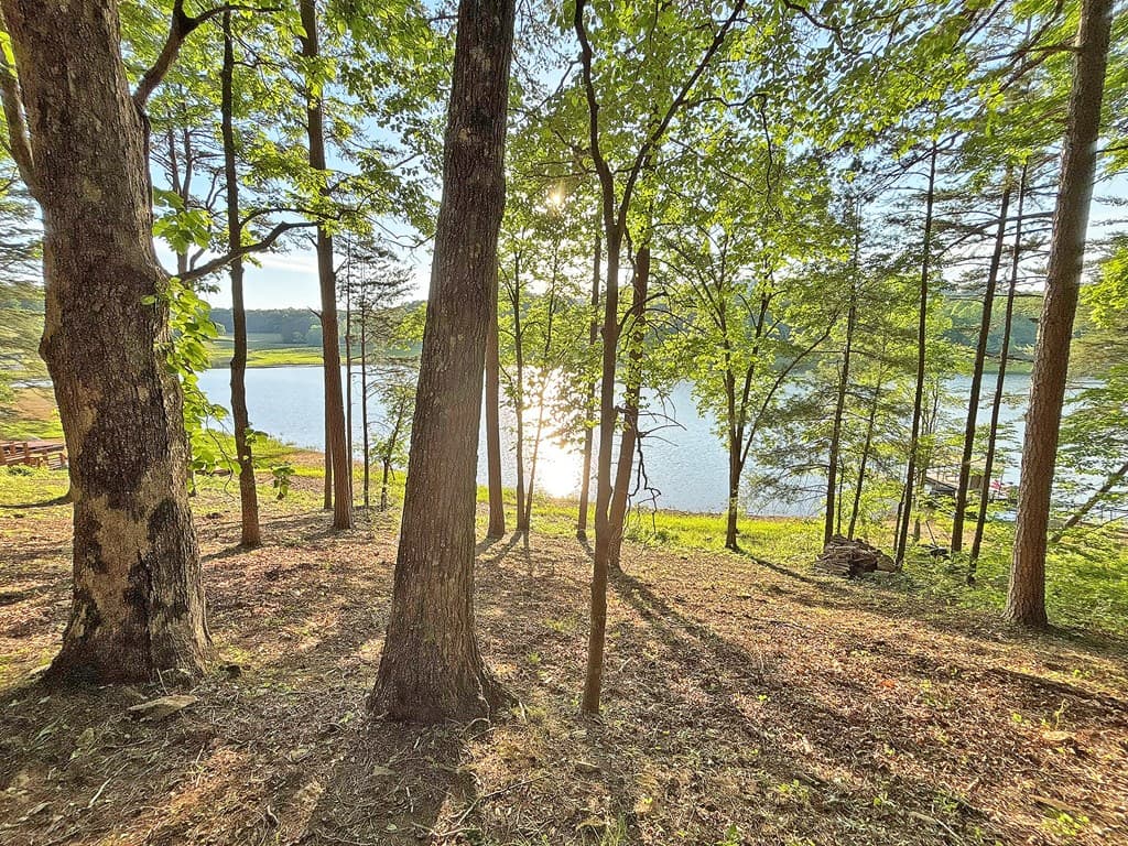 Lot 5 Walnut Drive, Blairsville GA 30512 - Photo