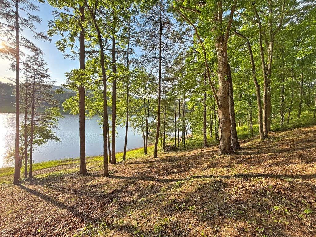 Lot 5 Walnut Drive, Blairsville GA 30512 - Photo