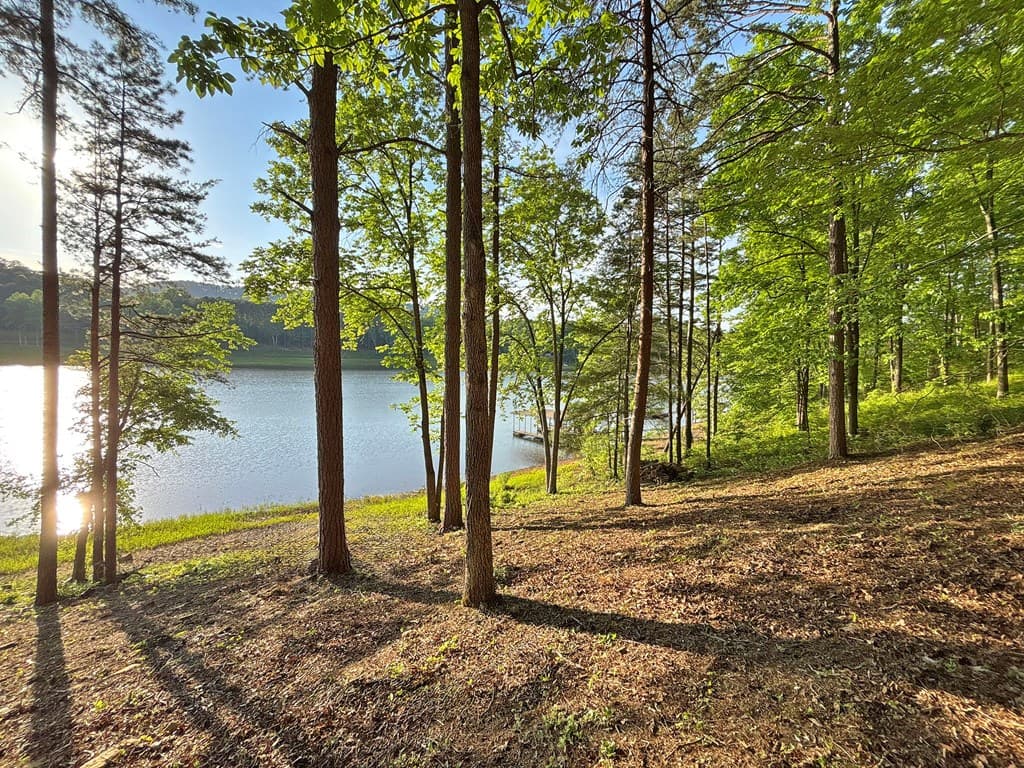 Lot 5 Walnut Drive, Blairsville GA 30512 - Photo