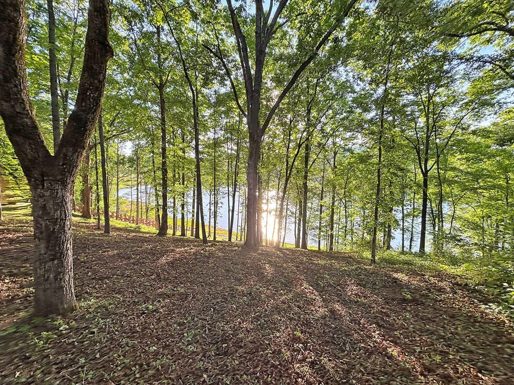 Lot 5 Walnut Drive, Blairsville GA 30512 - Photo
