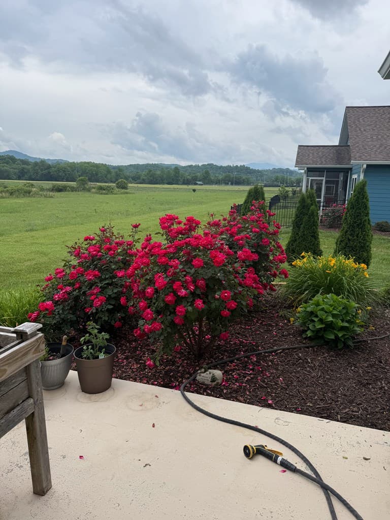 111 Riverwalk Circle, Hayesville NC 28904 - Photo