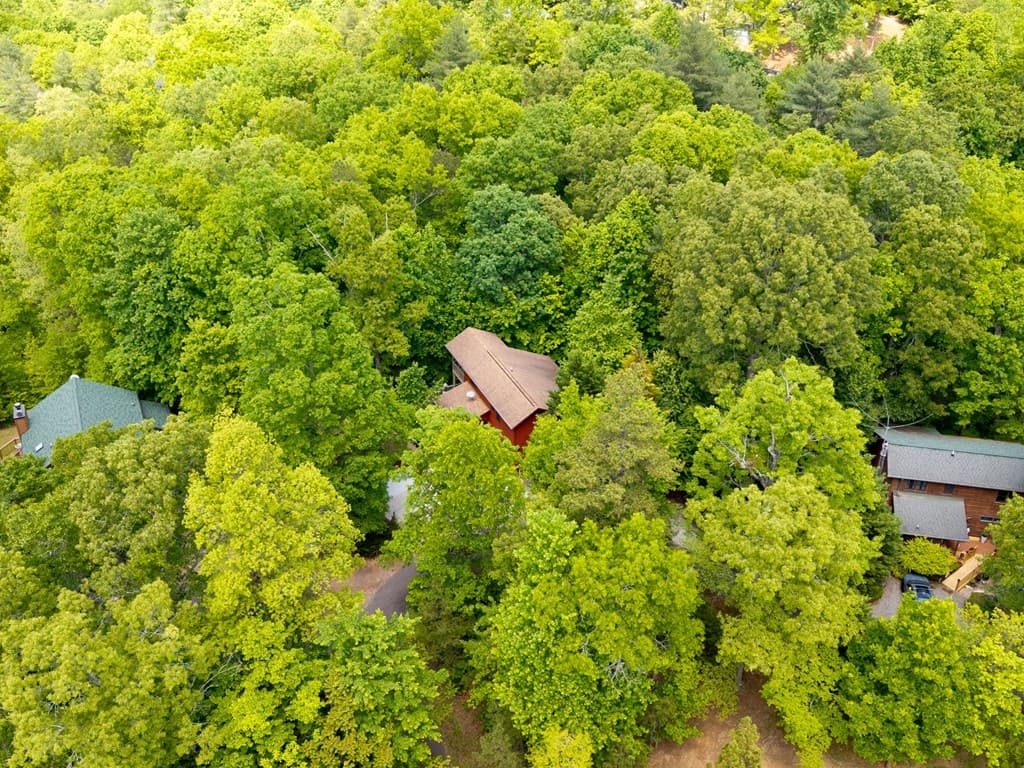 175 Scenic Highlands Drive, Marble NC 28905 - Photo