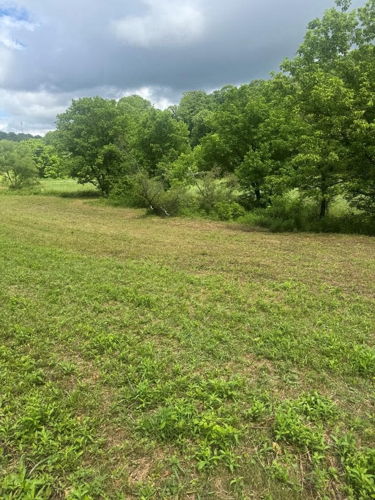 00 Tails Creek Road, Ellijay GA 30540 - Photo
