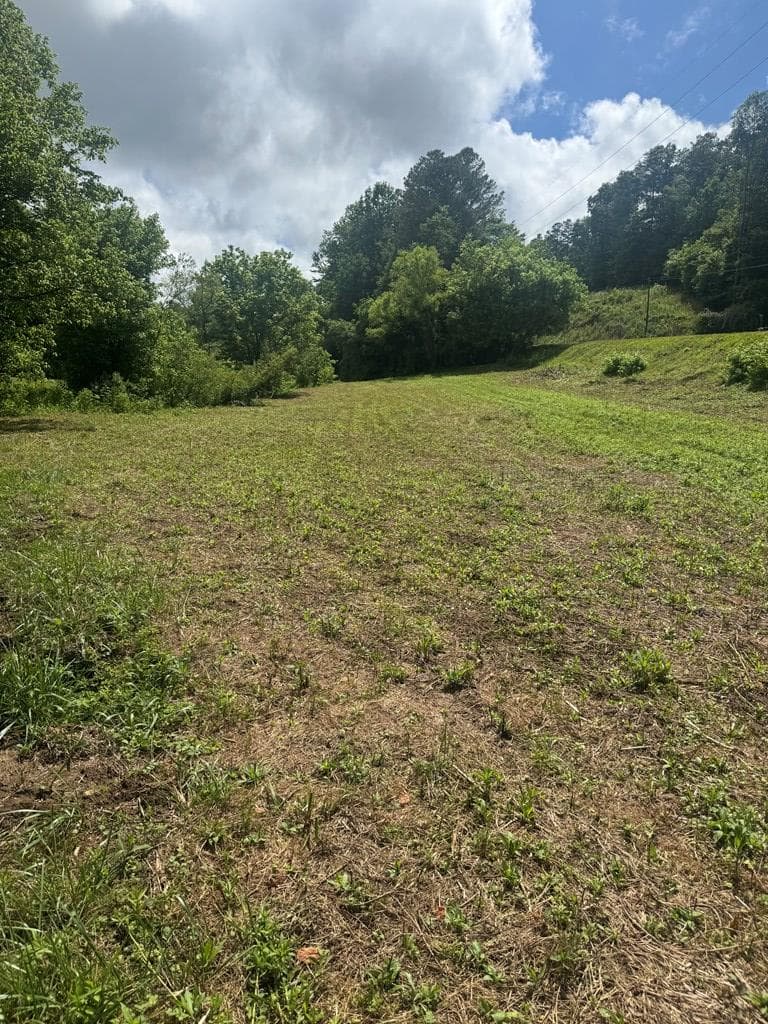 00 Tails Creek Road, Ellijay GA 30540 - Photo