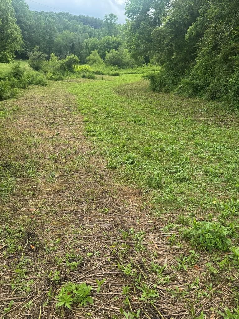 00 Tails Creek Road, Ellijay GA 30540 - Photo