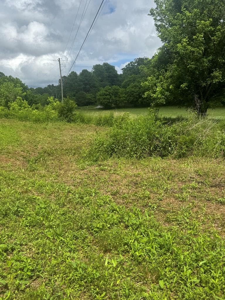 00 Tails Creek Road, Ellijay GA 30540 - Photo