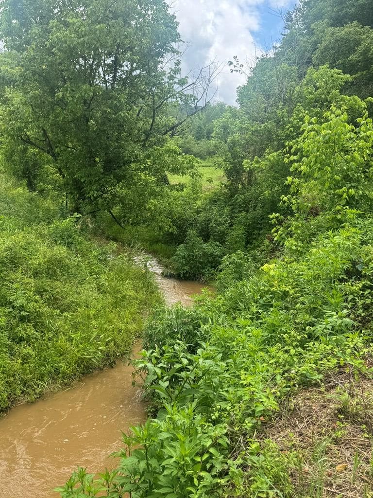 00 Tails Creek Road, Ellijay GA 30540 - Photo