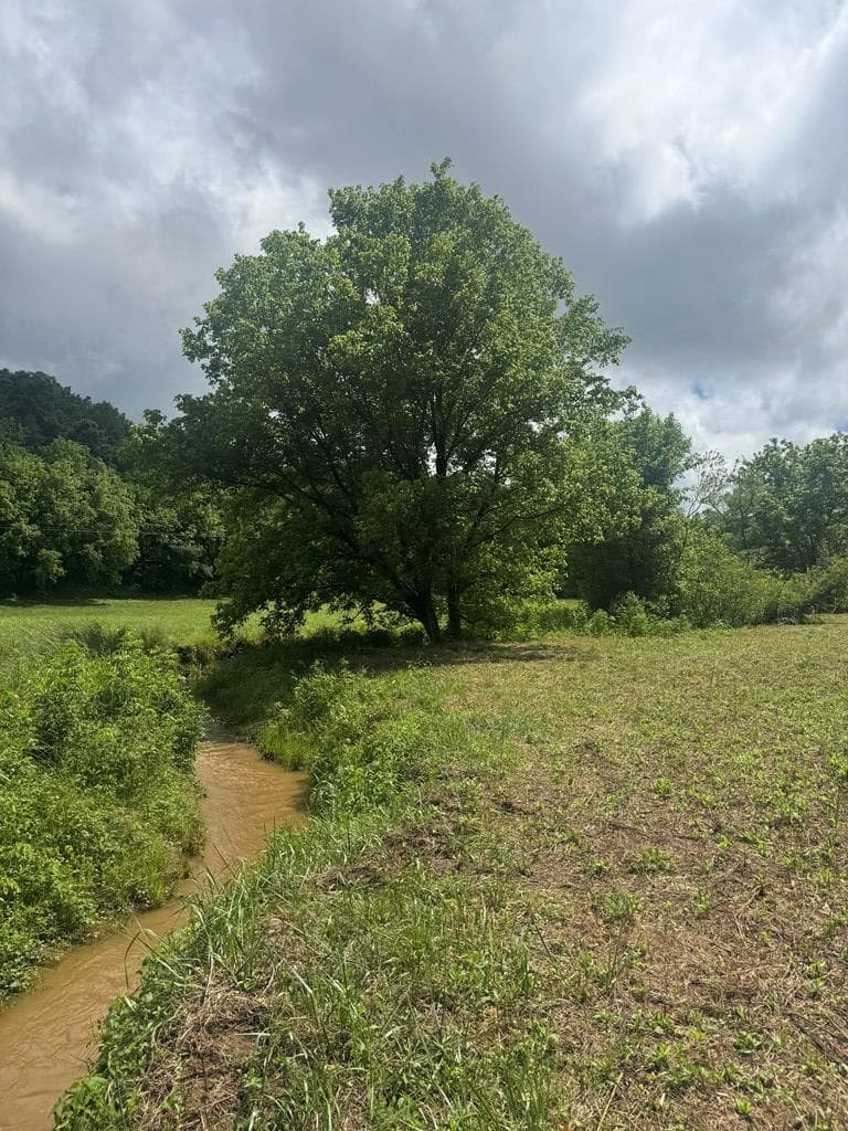 00 Tails Creek Road, Ellijay GA 30540 - Photo