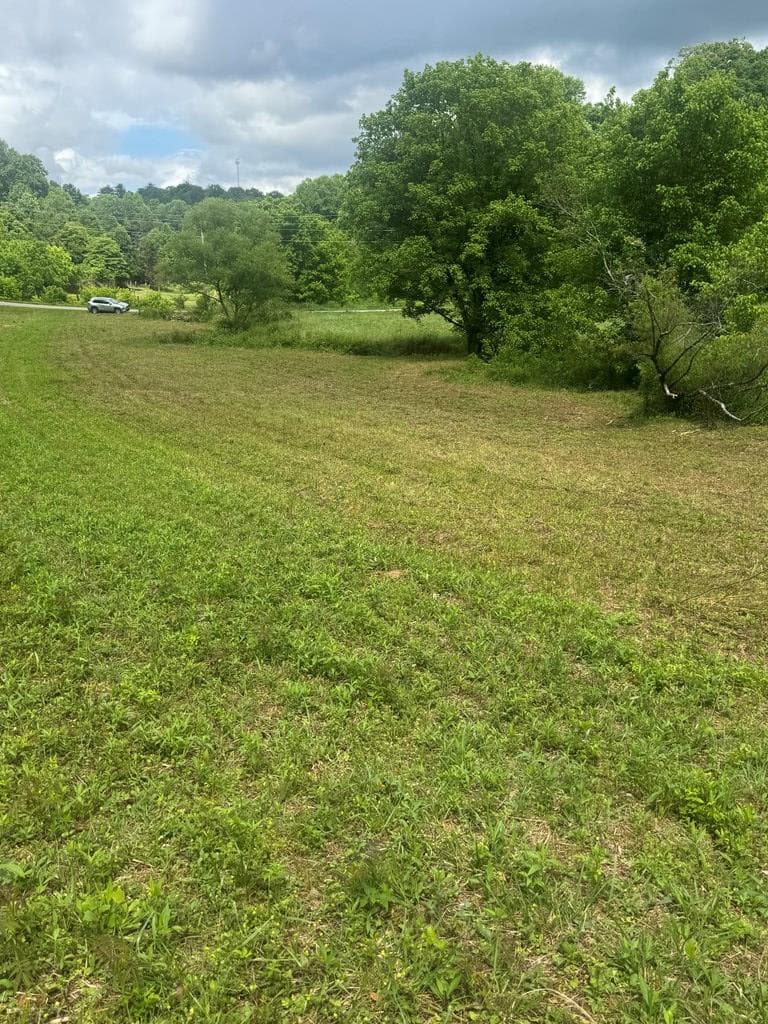 00 Tails Creek Road, Ellijay GA 30540 - Photo
