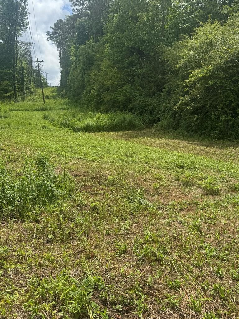 00 Tails Creek Road, Ellijay GA 30540 - Photo