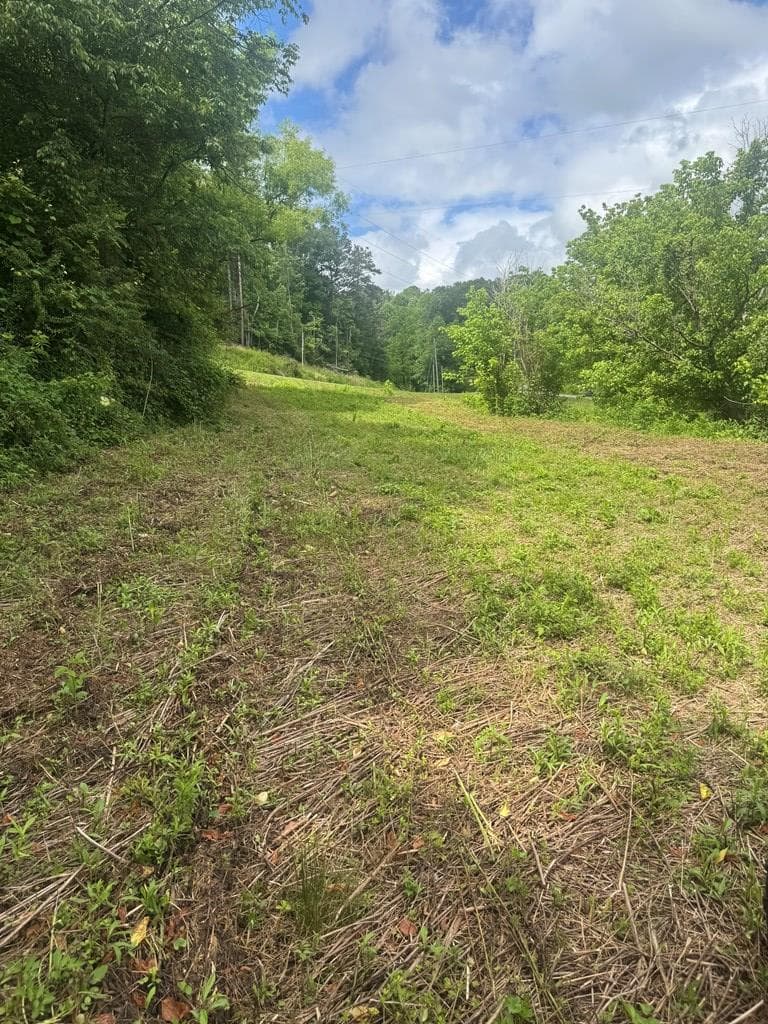 00 Tails Creek Road, Ellijay GA 30540 - Photo