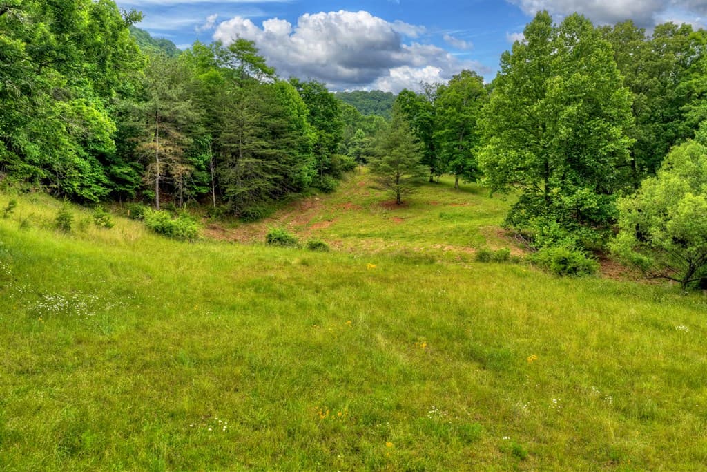 20.11 Ac Mountain View Road, Mccaysville GA 30555 - Photo