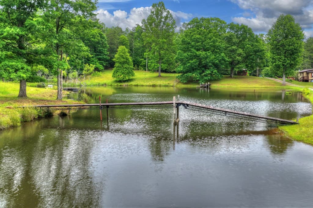 20.11 Ac Mountain View Road, Mccaysville GA 30555 - Photo