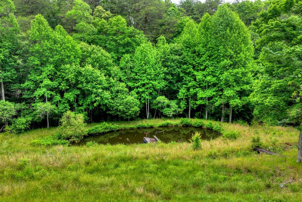 20.11 Ac Mountain View Road, Mccaysville GA 30555 - Photo