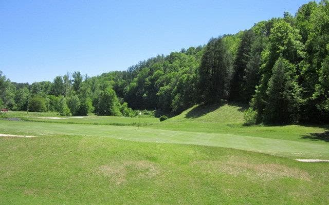 514 Shenendoa Dr., Ellijay GA 30540 - Photo