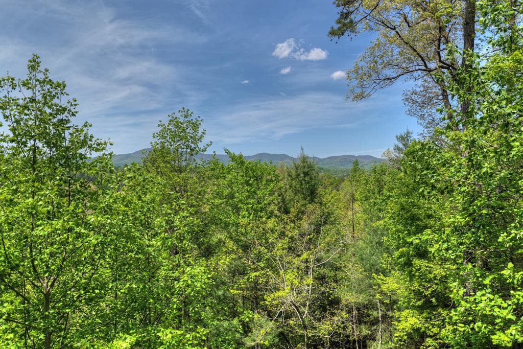 89 N Whitepath Circle, Ellijay GA 30540 - Photo