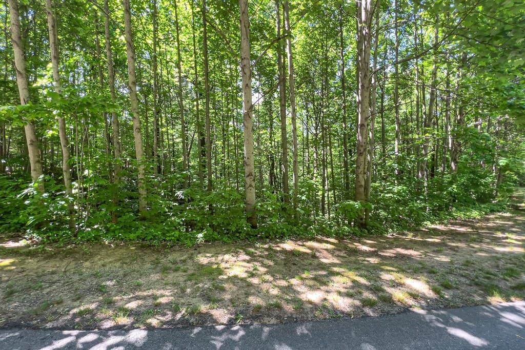 Lot 136 St Andrews Way, Ellijay GA 30536 - Photo