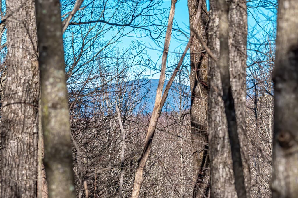 Lot 136 St Andrews Way, Ellijay GA 30536 - Photo