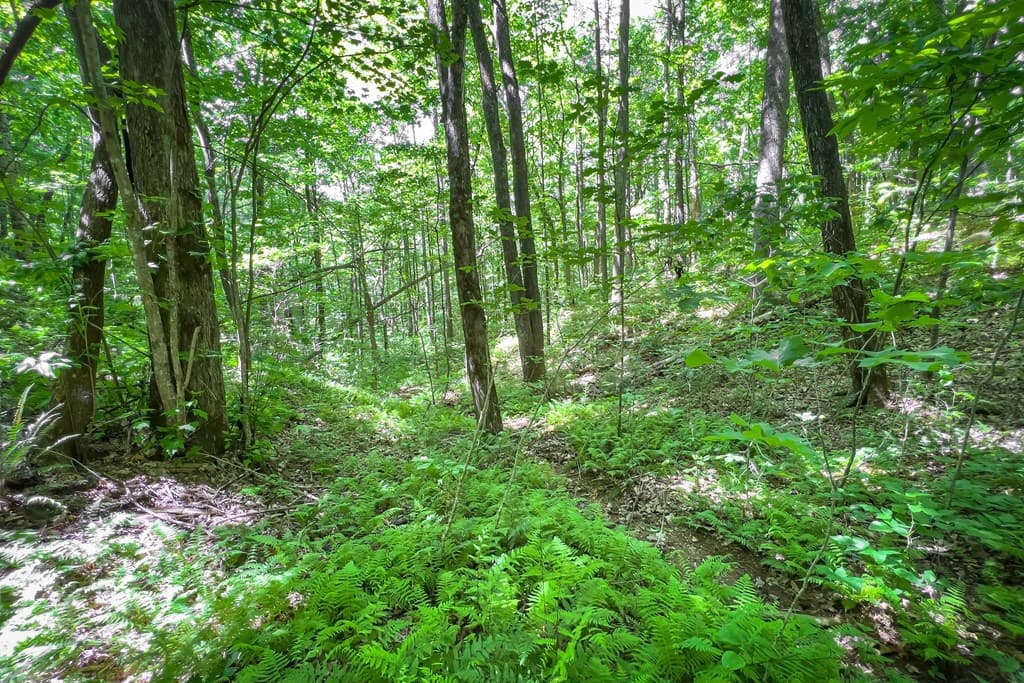 Lot 136 St Andrews Way, Ellijay GA 30536 - Photo
