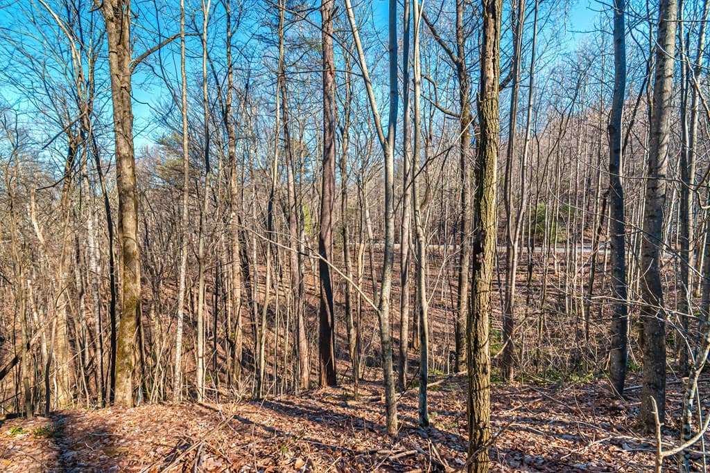 Lot 136 St Andrews Way, Ellijay GA 30536 - Photo