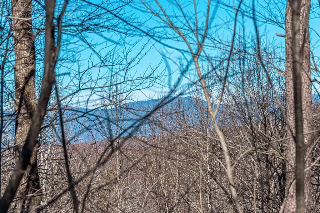 Lot 136 St Andrews Way, Ellijay GA 30536 - Photo