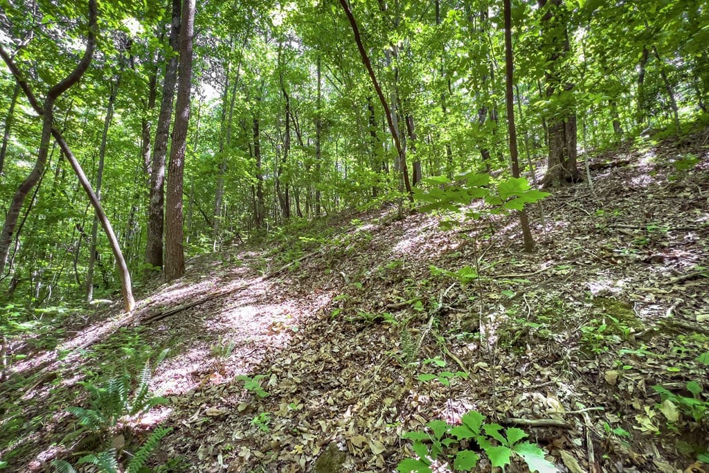 Lot 136 St Andrews Way, Ellijay GA 30536 - Photo