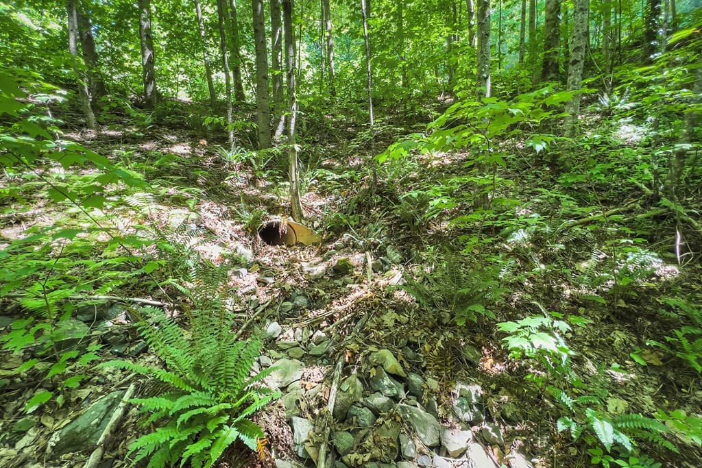 Lot 136 St Andrews Way, Ellijay GA 30536 - Photo